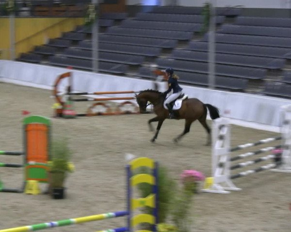 Reitturnier Verden 2022