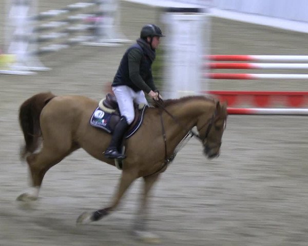 Reitturnier Verden 2022