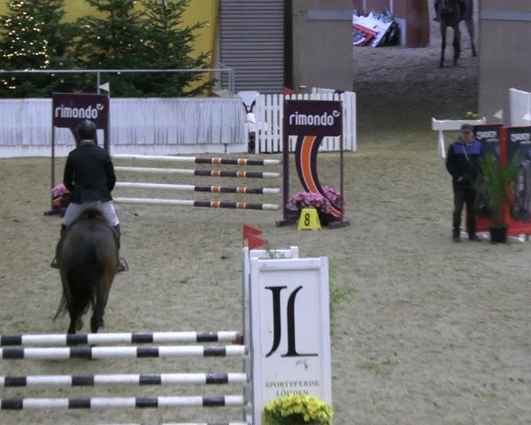 Reitturnier Verden 2022