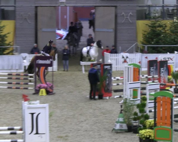 Reitturnier Verden 2022