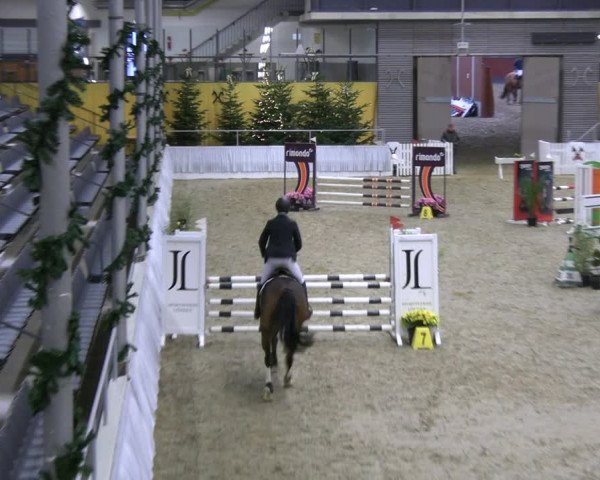 Reitturnier Verden 2022