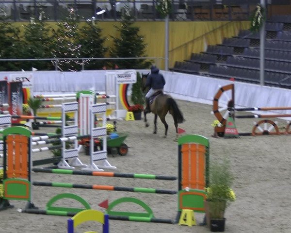 Reitturnier Verden 2022