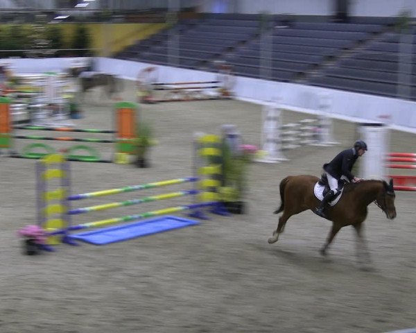 Reitturnier Verden 2022