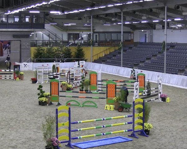 Reitturnier Verden 2022