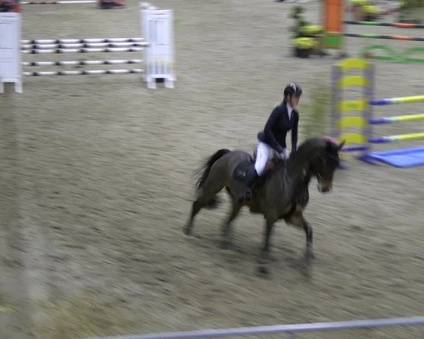 Reitturnier Verden 2022