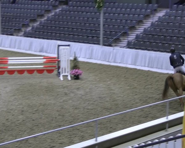Reitturnier Verden 2022