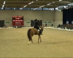 dressage horse Winny the Puu (Westphalian, 2001, from Weltruf)