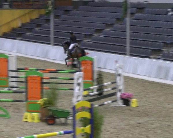 Reitturnier Verden 2022