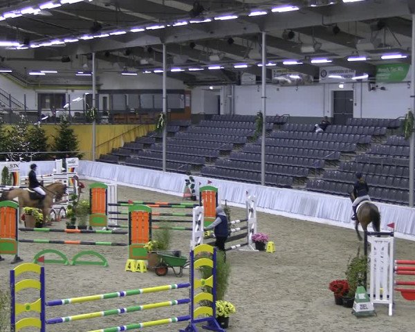 Reitturnier Verden 2022