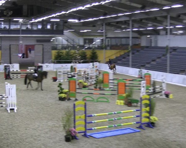 Reitturnier Verden 2022