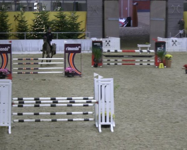Reitturnier Verden 2022