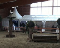 Dressurpferd Betty Barclay (Lettisches Warmblut, 2003, von Bastejs)