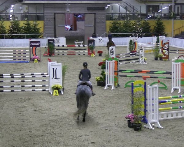 Reitturnier Verden 2022