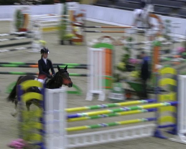Reitturnier Verden 2022