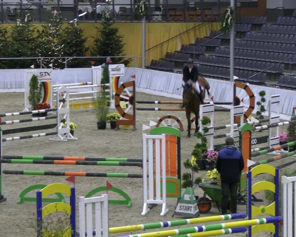 Reitturnier Verden 2022