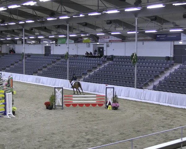 Reitturnier Verden 2022