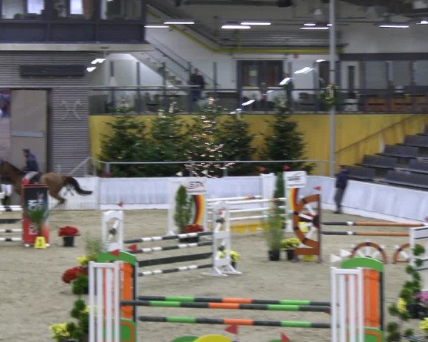 Reitturnier Verden 2022