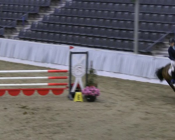 Reitturnier Verden 2022