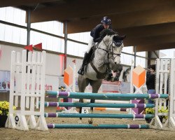 jumper Leandra (Holsteiner, 2018, from Million Dollar)