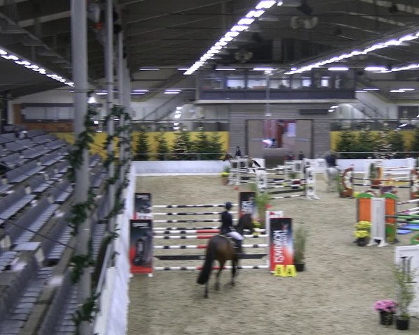 Reitturnier Verden 2022