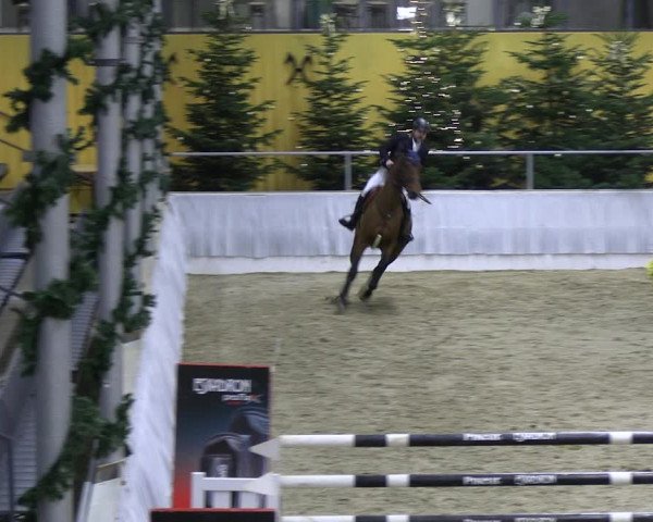 Reitturnier Verden 2022