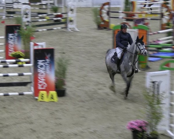 Reitturnier Verden 2022