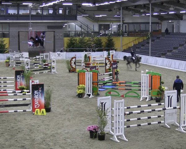 Reitturnier Verden 2022