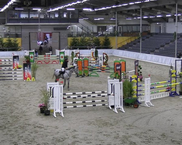 Reitturnier Verden 2022