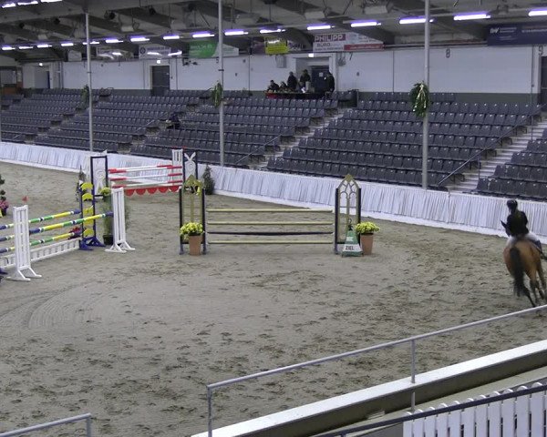 Reitturnier Verden 2022