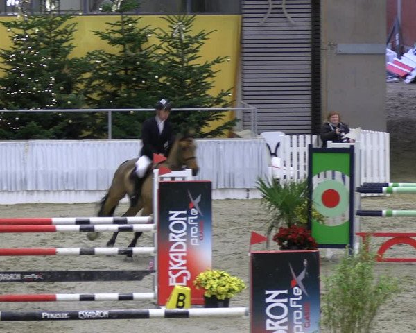 Reitturnier Verden 2022