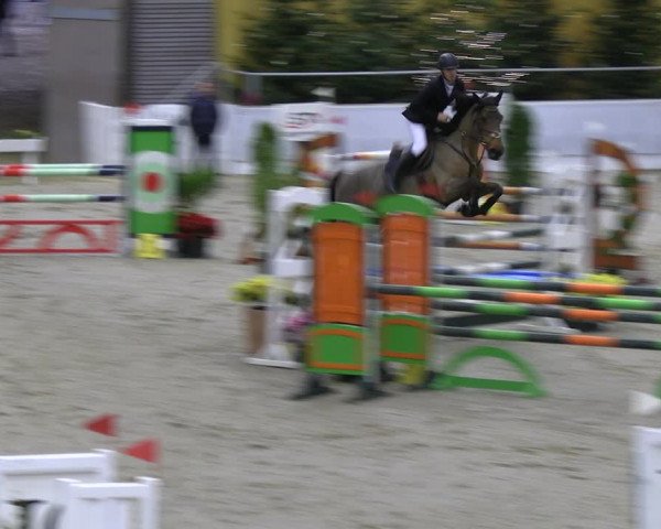 Reitturnier Verden 2022