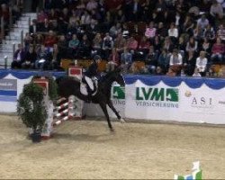 jumper Donovan 88 (Westphalian, 1994, from Don Primero)