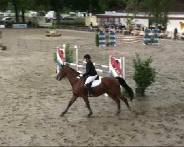 jumper Luiamo (Oldenburg, 1994, from Landfrieden)
