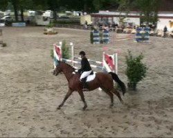 jumper Luiamo (Oldenburg, 1994, from Landfrieden)
