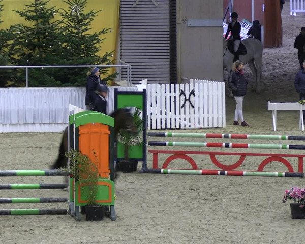 Reitturnier Verden 2022