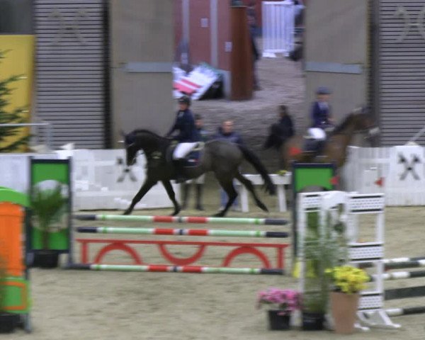 Reitturnier Verden 2022