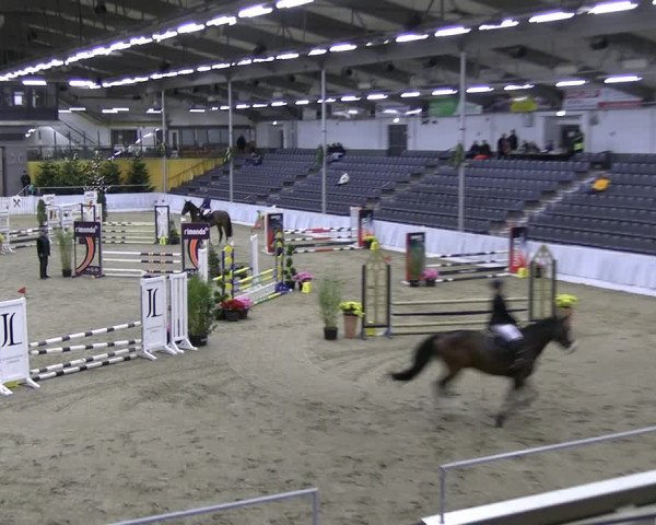 Reitturnier Verden 2022