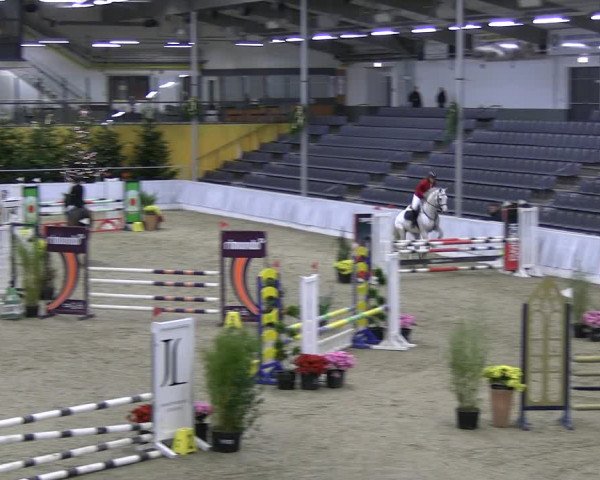 Reitturnier Verden 2022