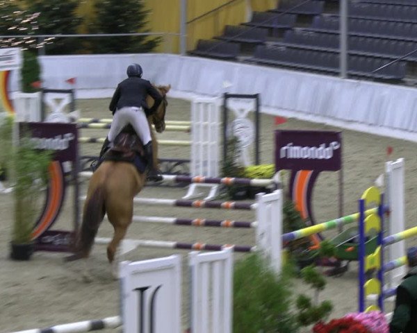 Reitturnier Verden 2022