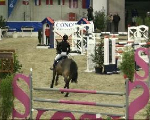jumper Chester L (Bavarian, 2002, from Caretello B)