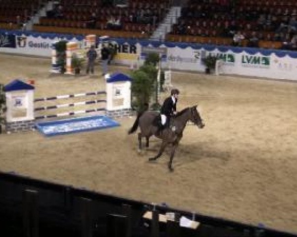 jumper Lissabon 48 (German Sport Horse, 2005, from Littlefield)