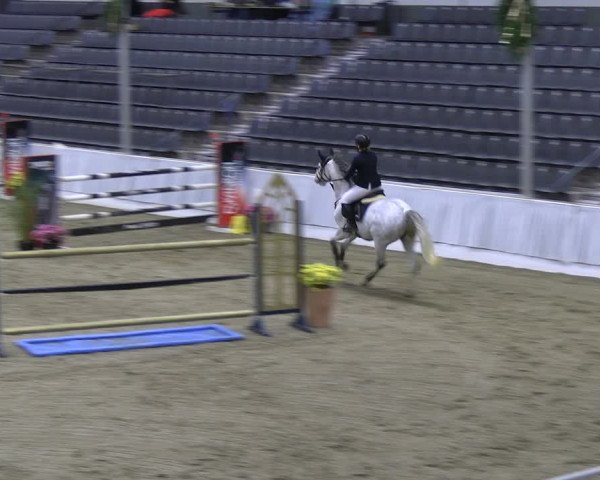 Reitturnier Verden 2022