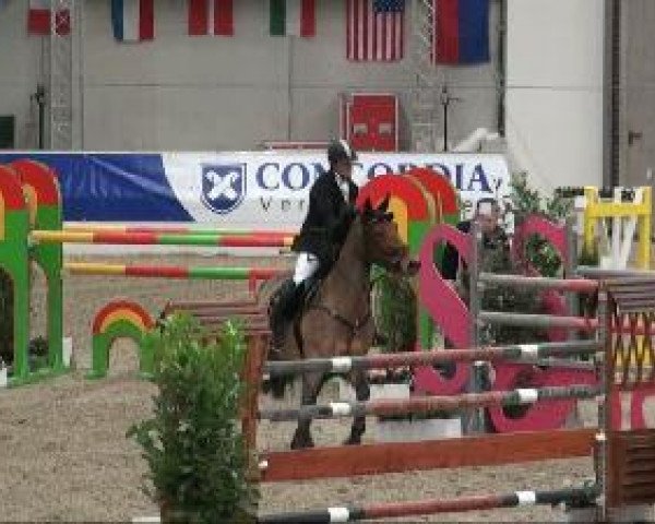 jumper Alexa (Saxony-Anhaltiner, 2002, from Askari)