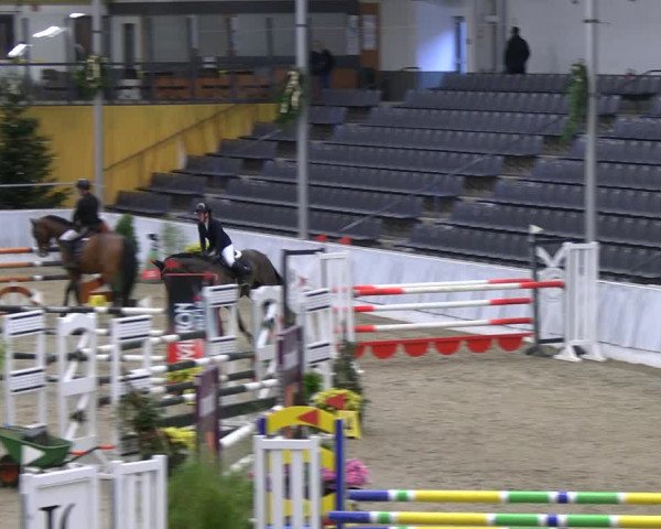 Reitturnier Verden 2022