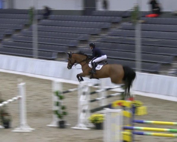 Reitturnier Verden 2022