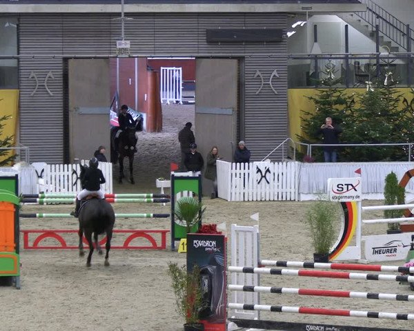 Reitturnier Verden 2022