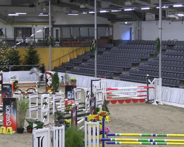 Reitturnier Verden 2022
