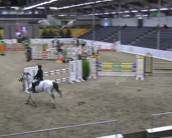 Reitturnier Verden 2022