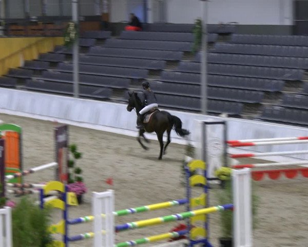 Reitturnier Verden 2022
