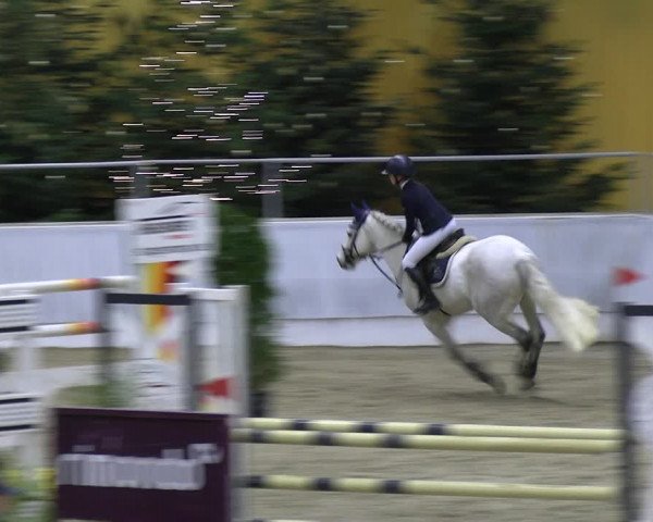 Reitturnier Verden 2022